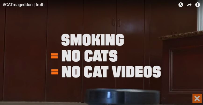 The Truth Initiative recently launched an anti-smoking campaign that falls somewhere in between a traditional PSA and a viral video. The clip warns viewers that housecats exposed to cigarette smoke are at-risk for cancer. No cats, no cat videos, the video predicts. 